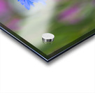 Hope for the Future Acrylic print