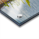 Natures Bonsai Acrylic print