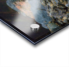 Young Eagle Acrylic print