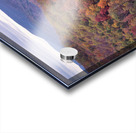 Autumn Extravaganza Acrylic print