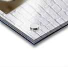 Peace Parrot Acrylic print