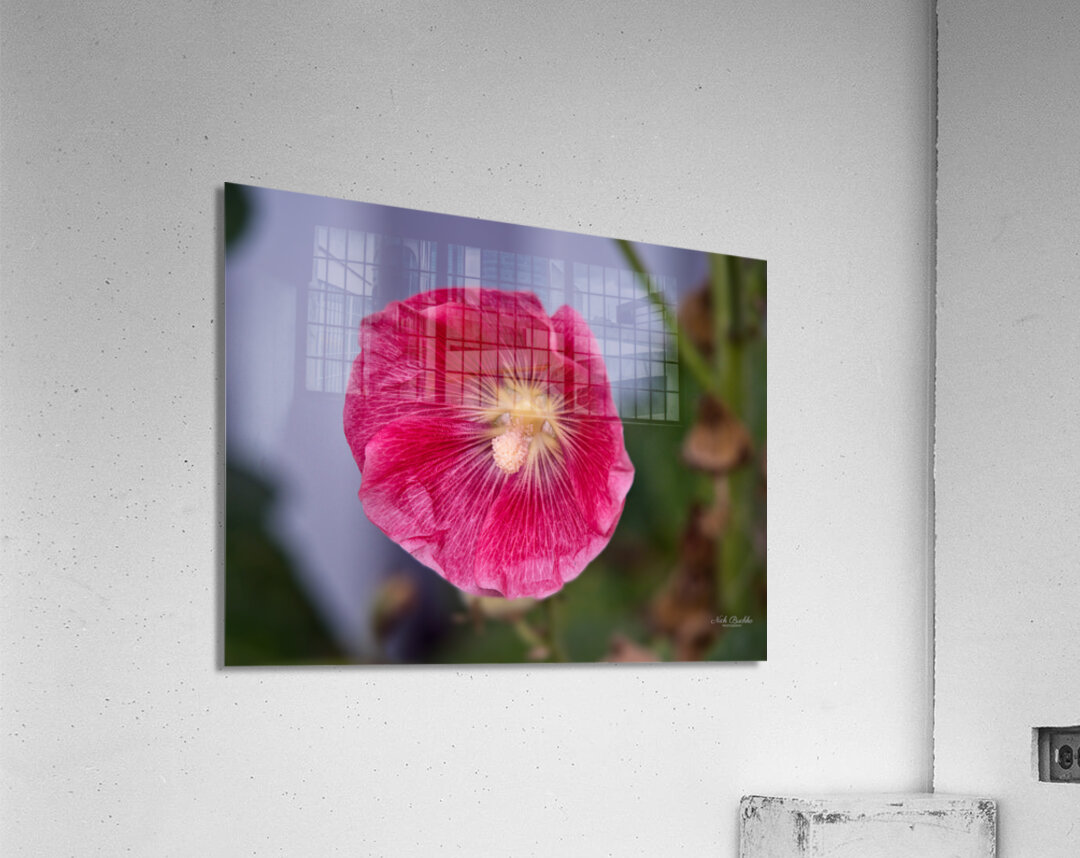 Calling All Pollinators Acrylic Print