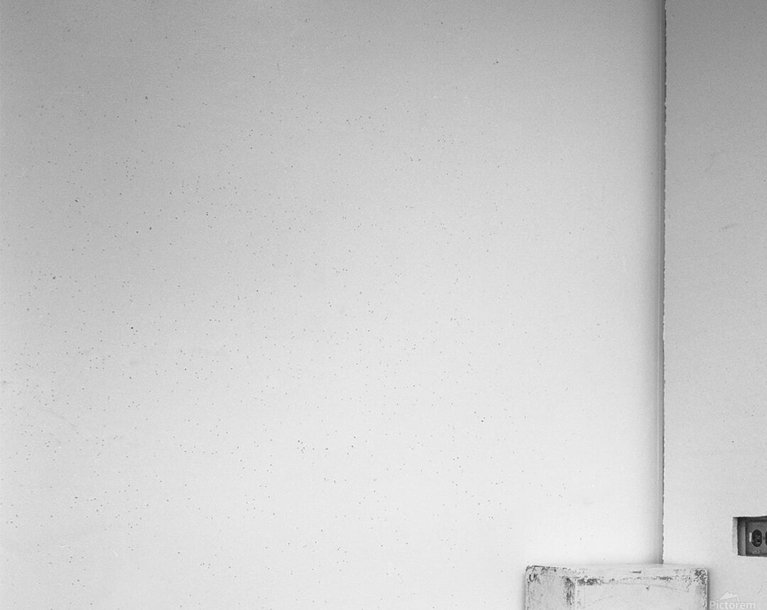 Peace Parrot Acrylic Print