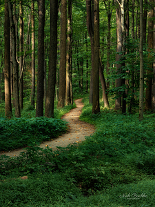 The Mystical Pathway