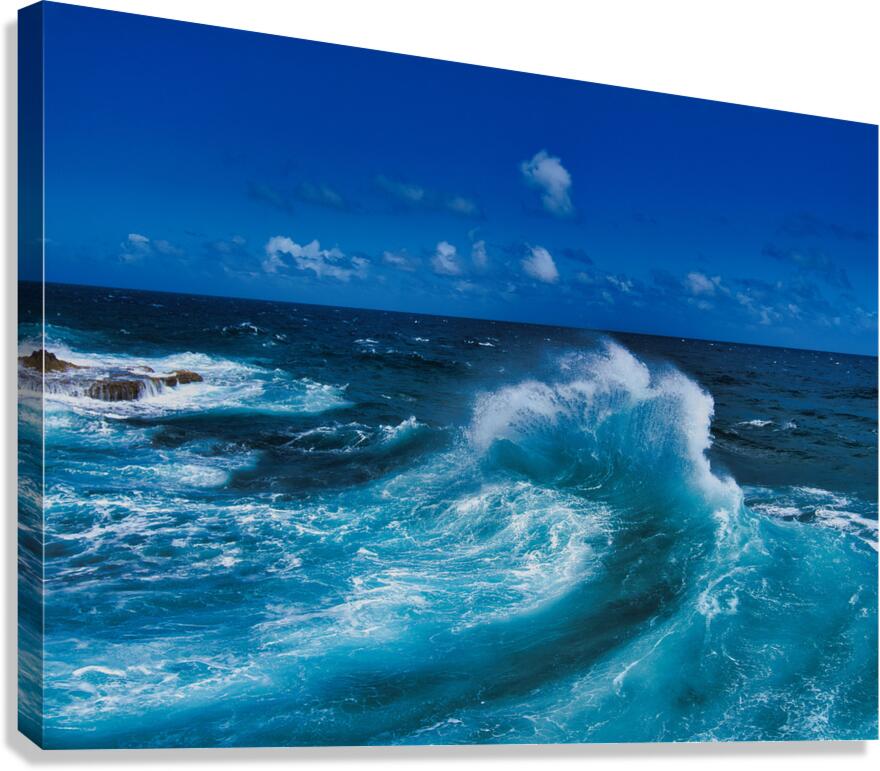 Angry Wave Canvas Print