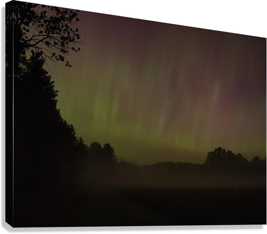 Northern Lights Canvas Print