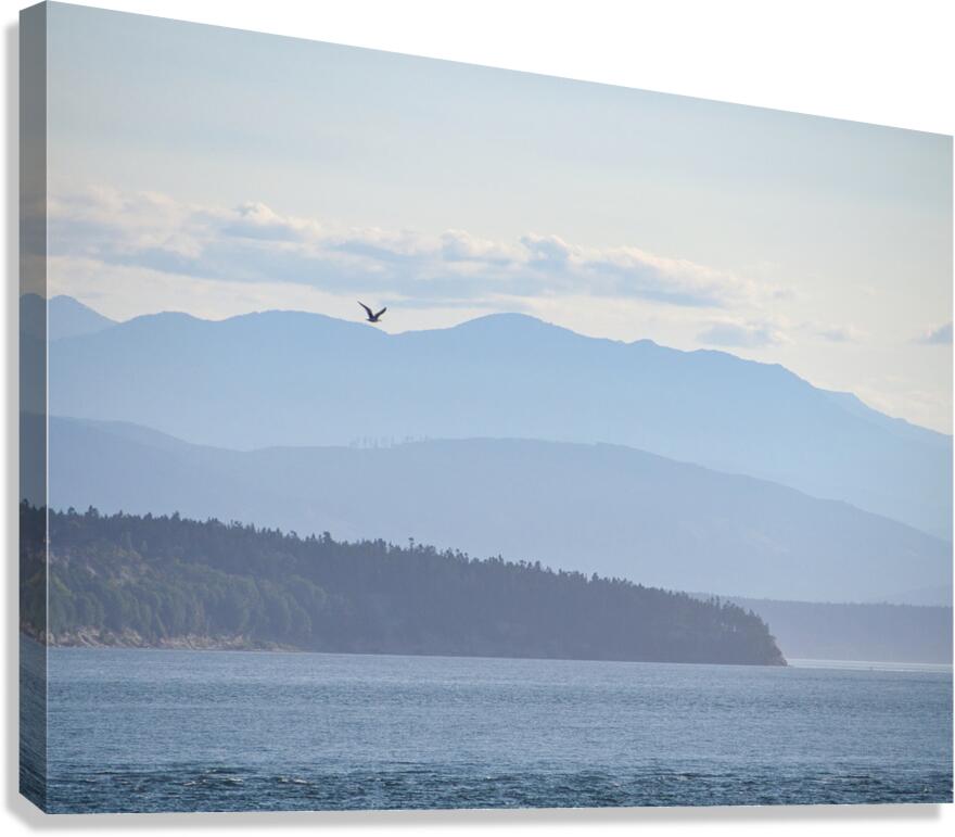 Layers of Blue Canvas Print