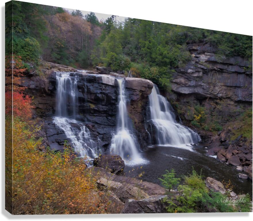 Blackwater Falls from the Canyon Floor Canvas Print