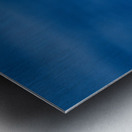 In Flight Metal print