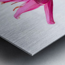 The Majestic Lily Metal print