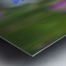 Hope for the Future Metal print