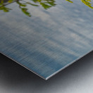 Natures Bonsai Metal print