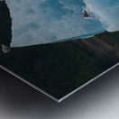 IceBirds Metal print