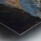 Young Eagle Metal print