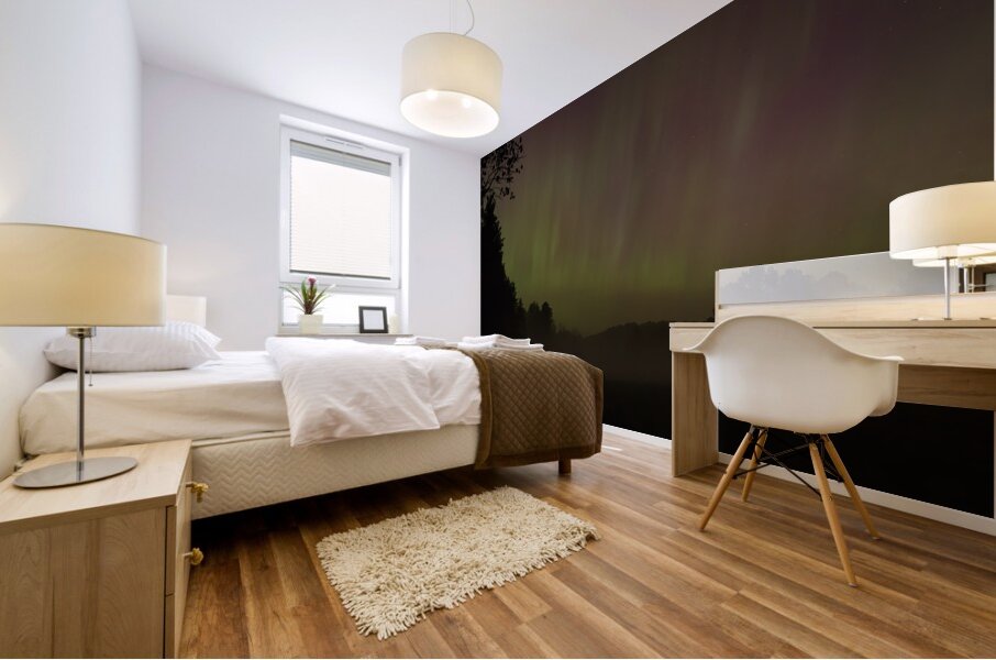 Northern Lights Mural print