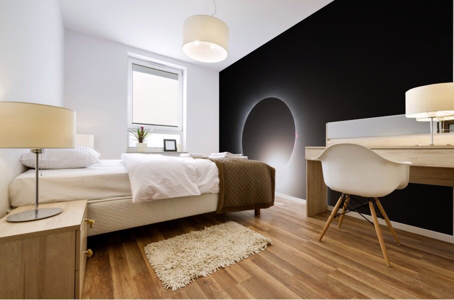 Solar Eclipse Mural print