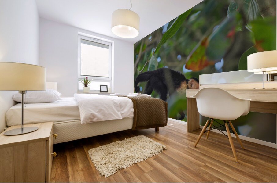 Havent You Always Wanted A Monkey  Mural print