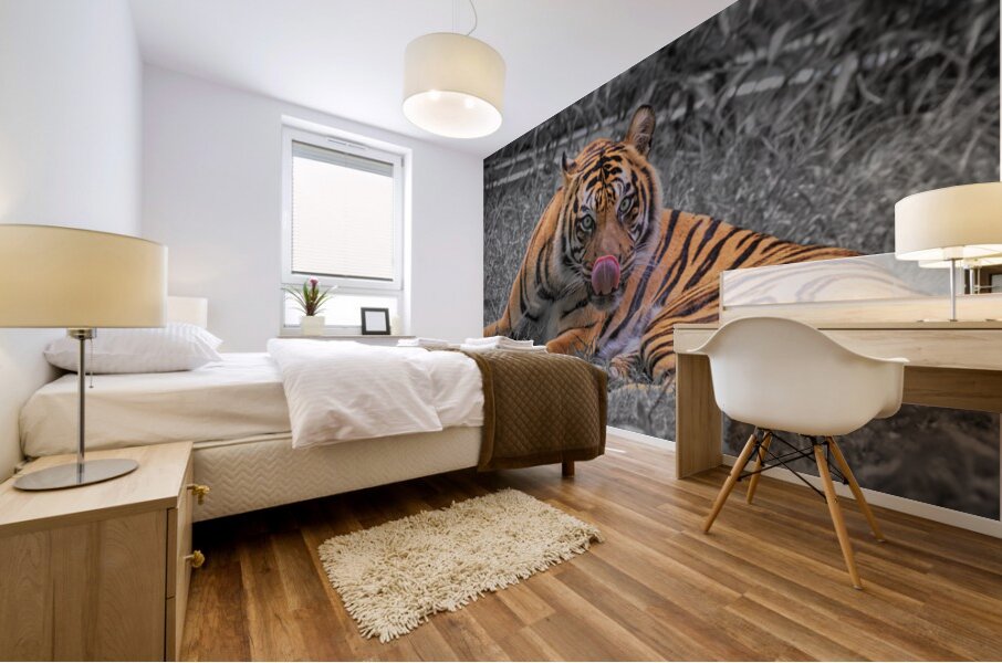 tiger bw Mural print
