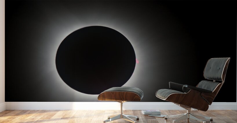 Solar Prominence Wall Murals