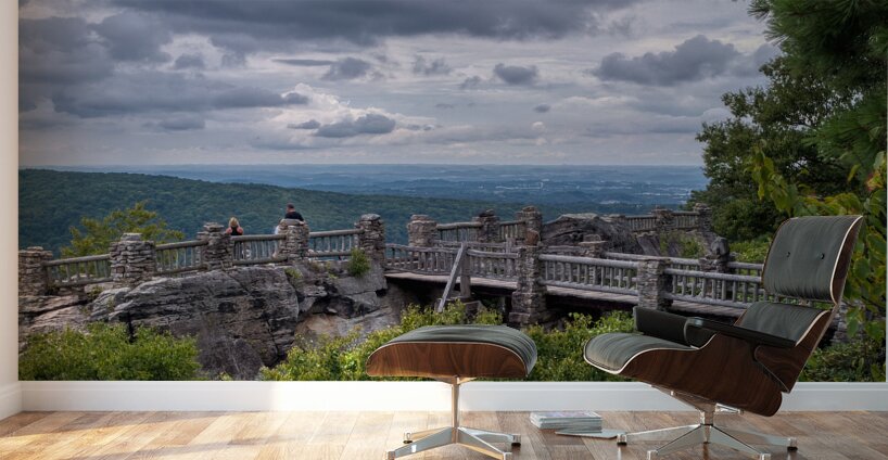 I Can See Clearly Now Wall Murals