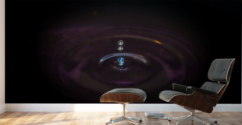 A Splash of Color Wall Murals