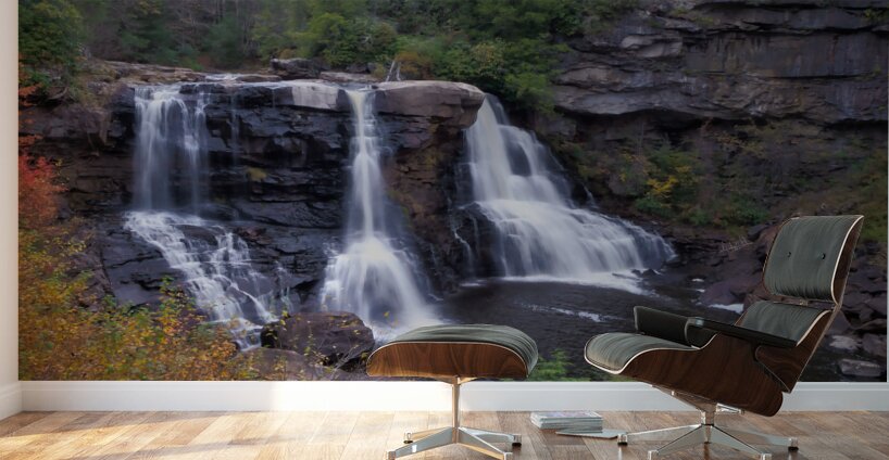 Blackwater Falls from the Canyon Floor Wall Murals