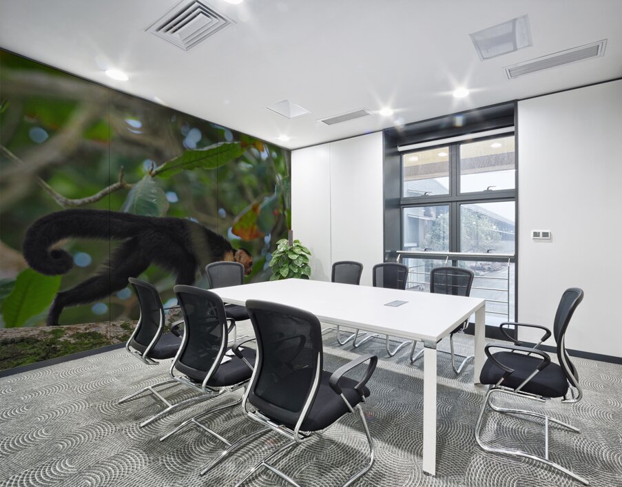 Havent You Always Wanted A Monkey  Wall Printing