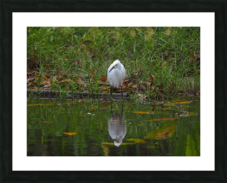 Reflection Picture Frame print