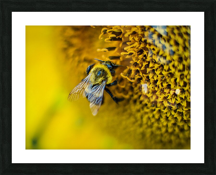 Pollen Picture Frame print