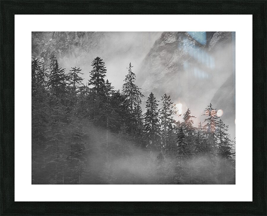 Trees Picture Frame print