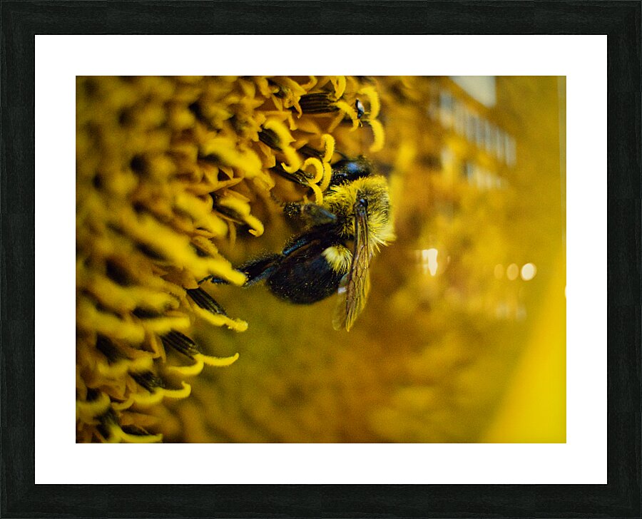 Yellow Picture Frame print
