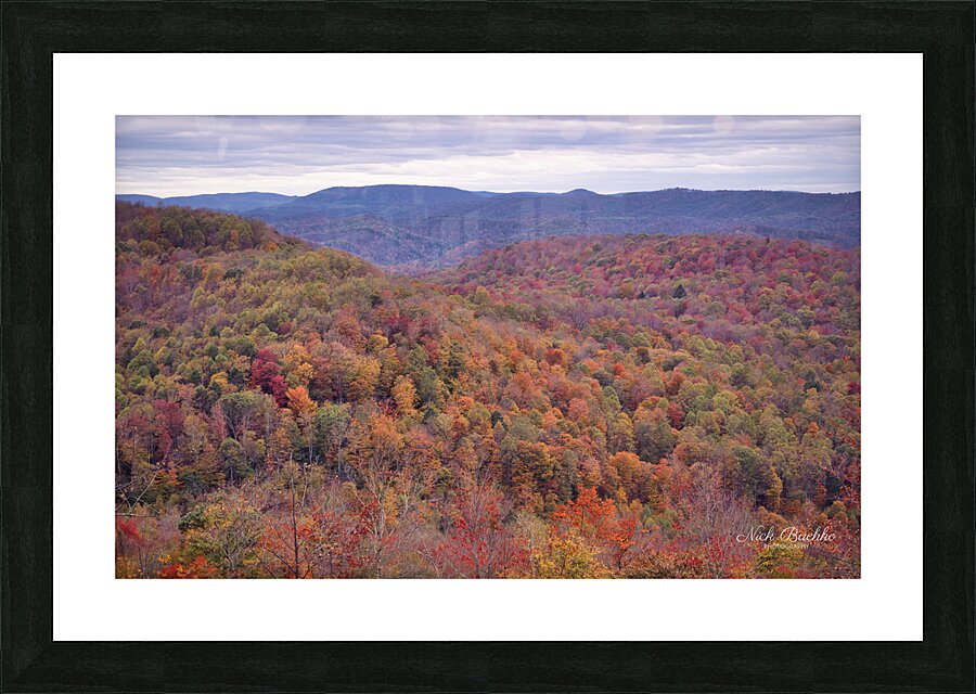 Autumn Extravaganza Picture Frame print