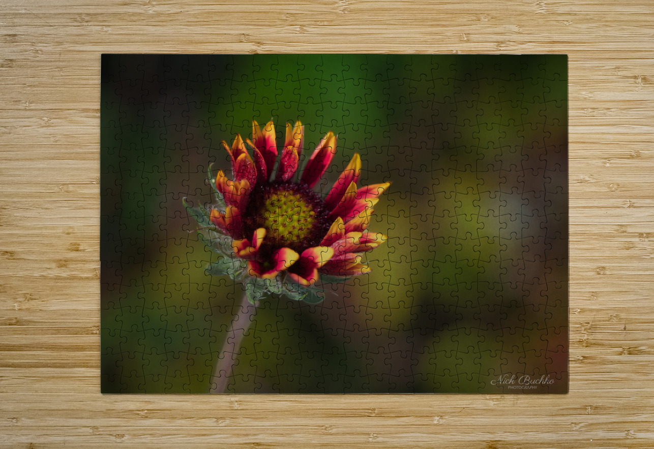 A Burst of Color Buchko Photography Puzzle printing