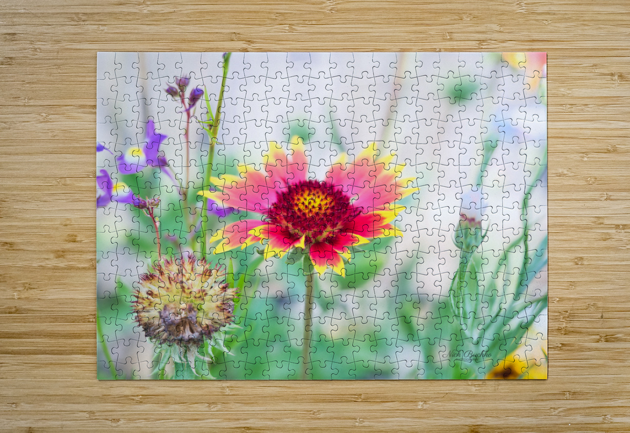 An Indian Blanket Gracing the Garden Buchko Photography Puzzle printing