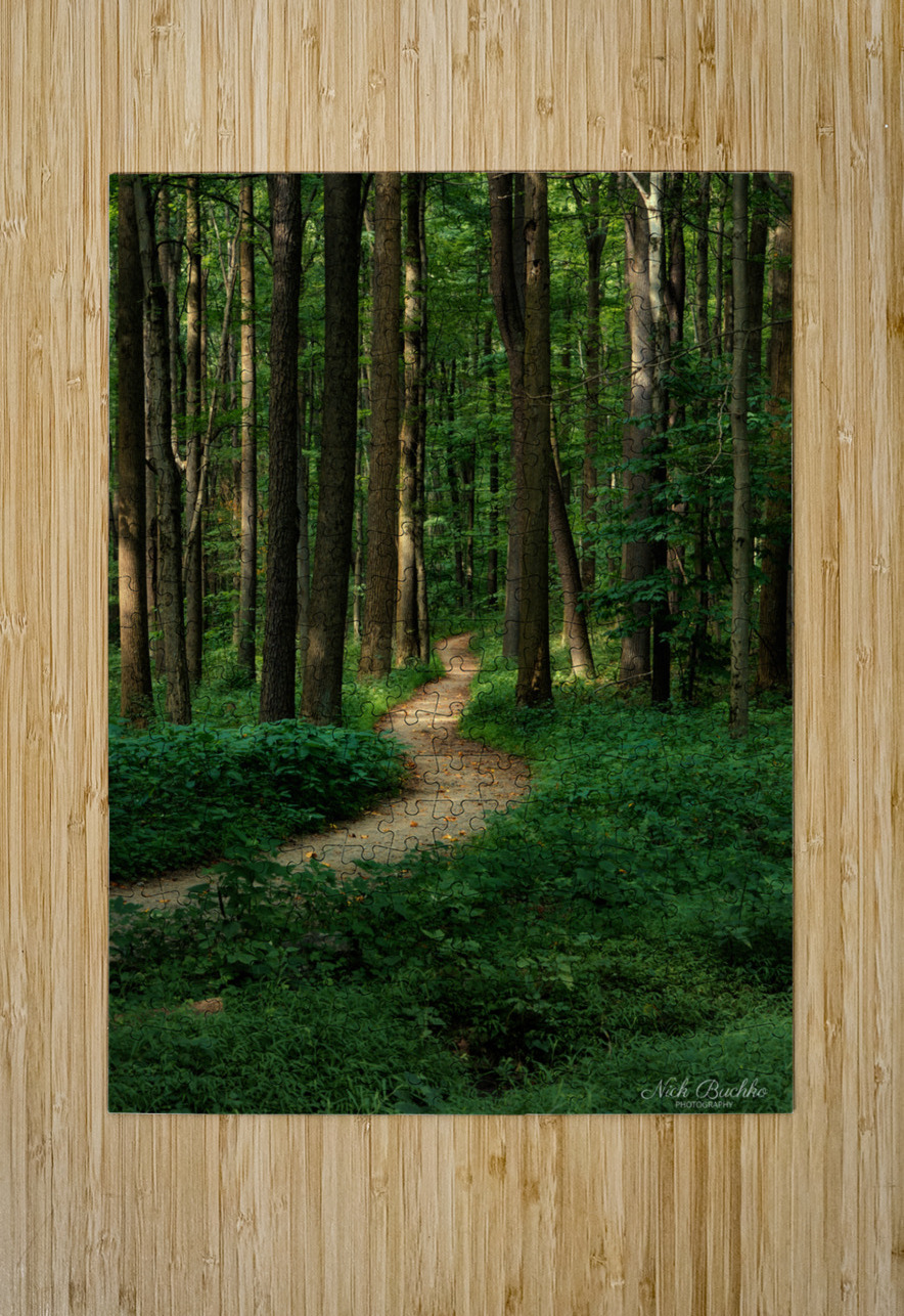 The Mystical Pathway Buchko Photography Puzzle printing
