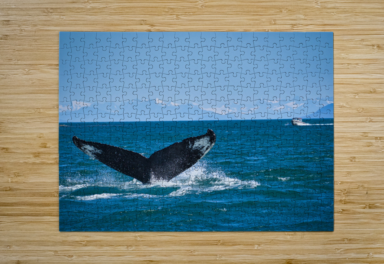 Whale Tale Buchko Photography Puzzle printing