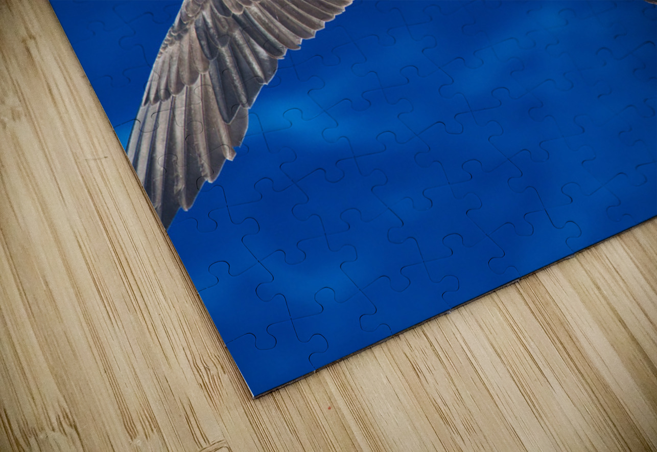 Wingspan Buchko Photography Puzzle