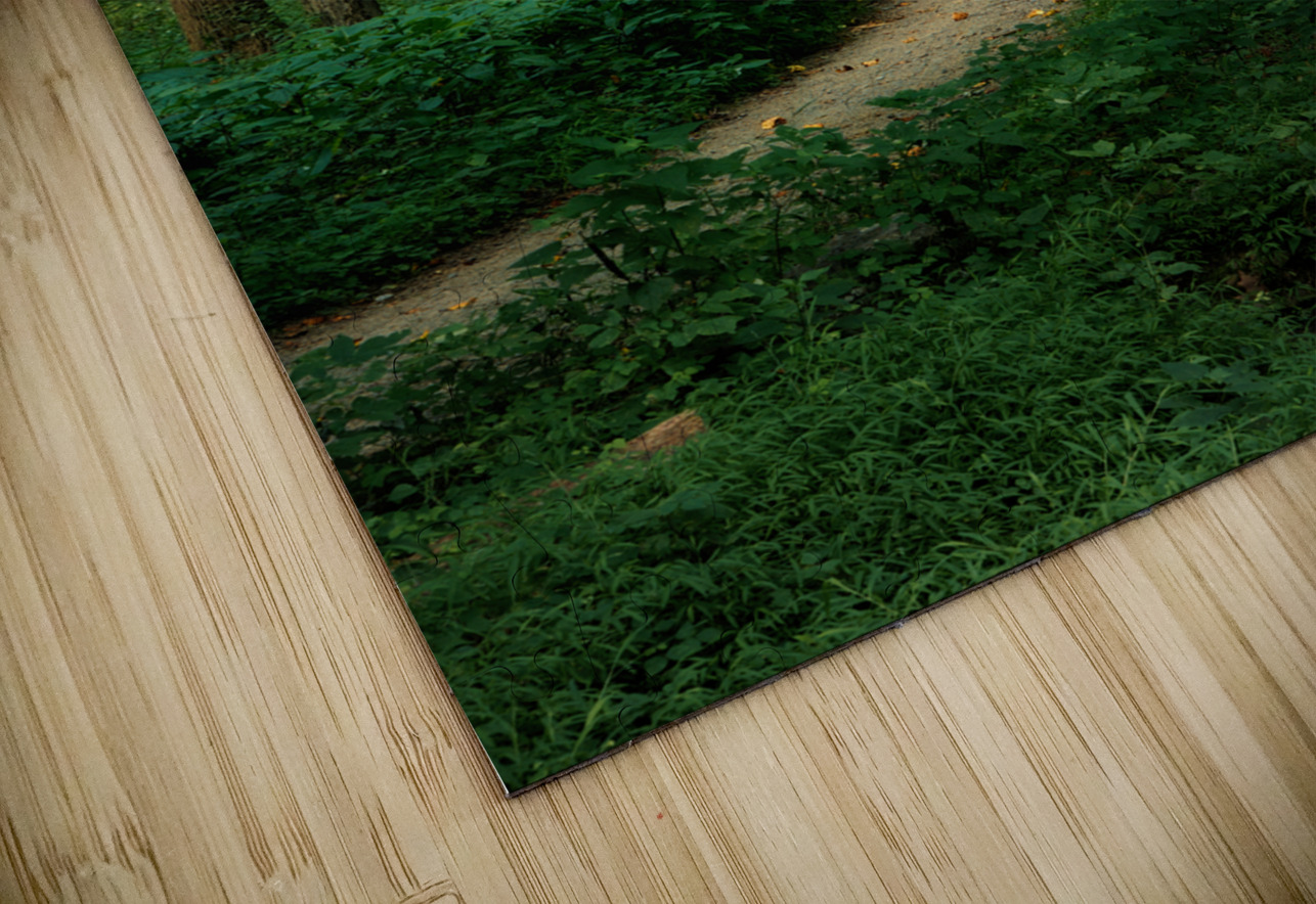 The Mystical Pathway Buchko Photography Puzzle