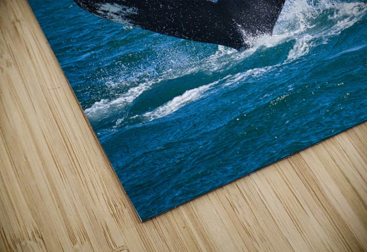 Whale Tale Buchko Photography Puzzle