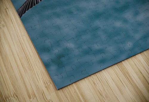 Feathers Buchko Photography puzzle