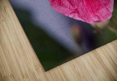 Calling All Pollinators Buchko Photography puzzle