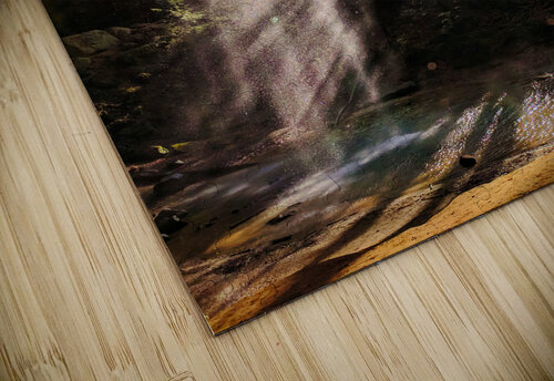 Light Fall Buchko Photography puzzle