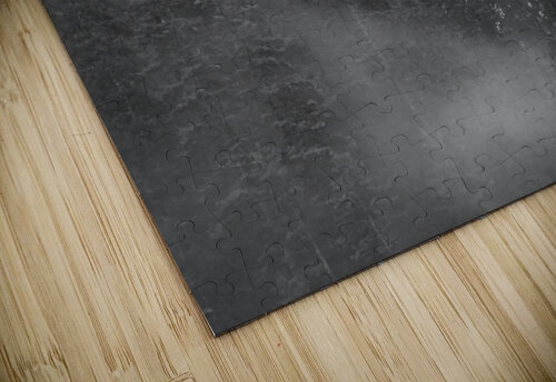 Trees Buchko Photography puzzle