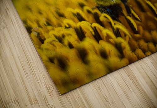 Lunch Buchko Photography puzzle