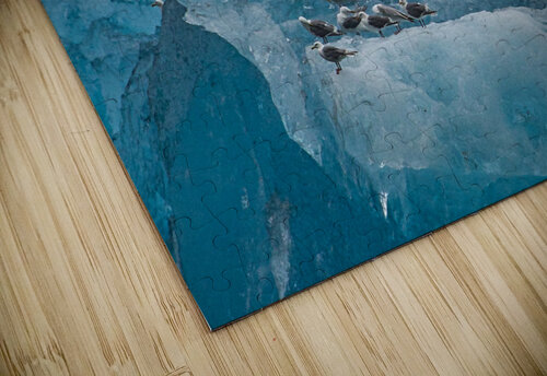 IceBirds Buchko Photography puzzle
