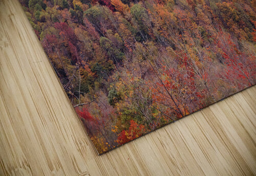 Autumn Extravaganza Buchko Photography puzzle