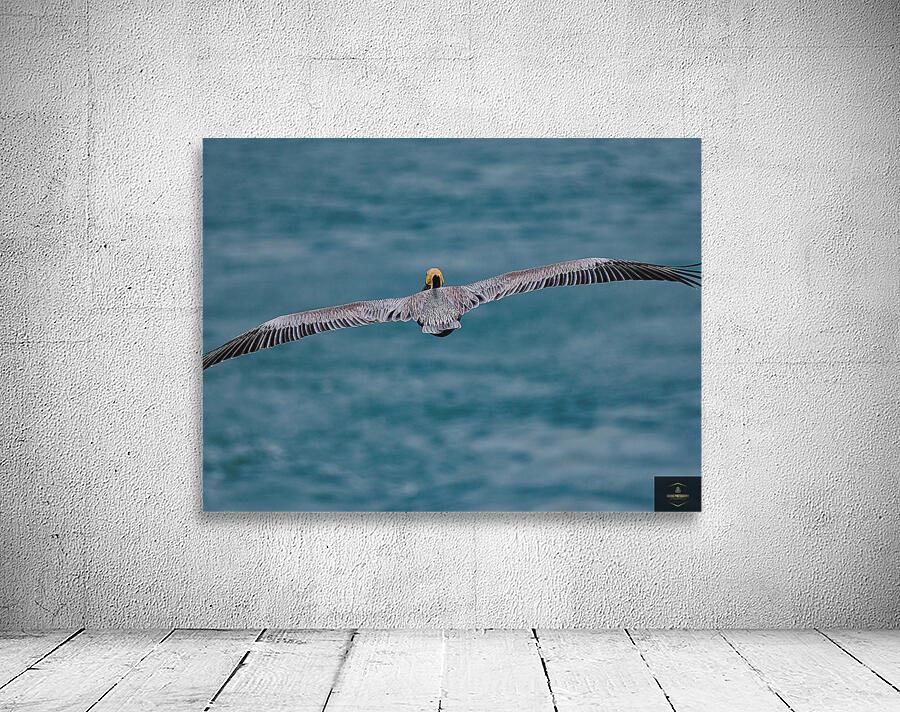 Feathers Wall Preview