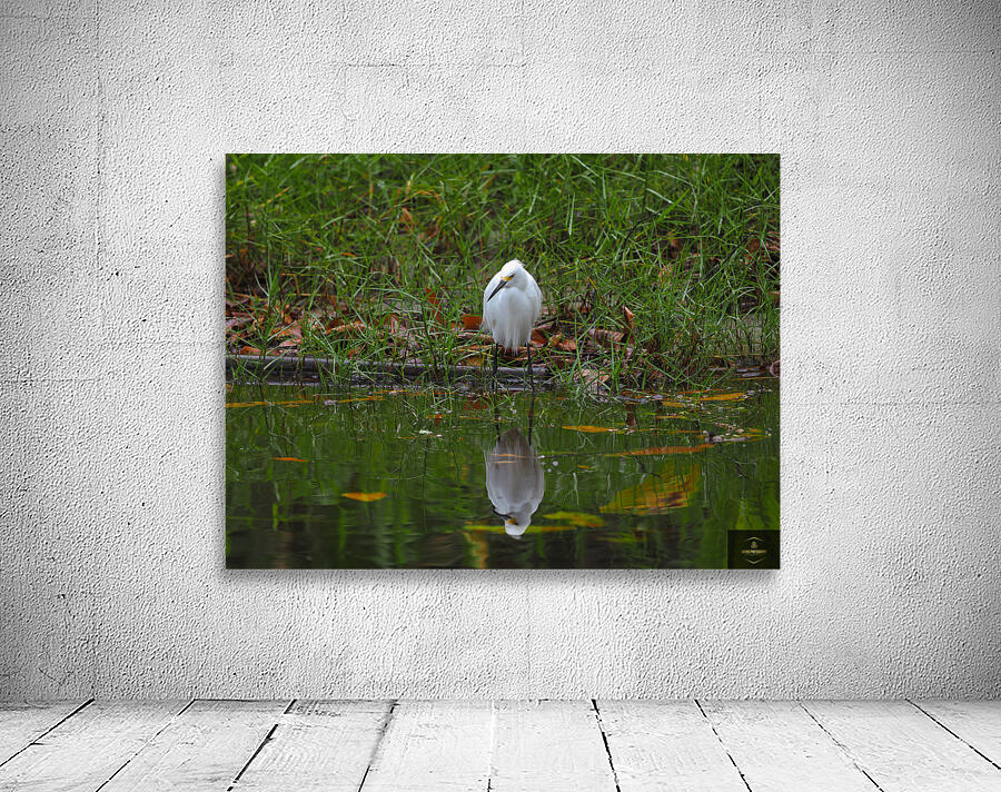 Reflection Wall Preview