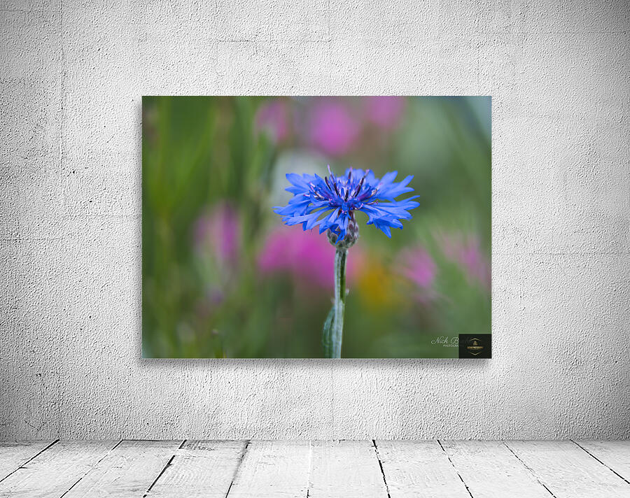 Hope for the Future Wall Preview