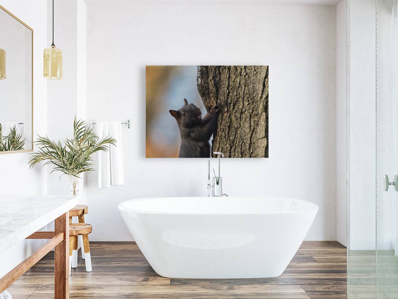 Black Squirrel Reproduction